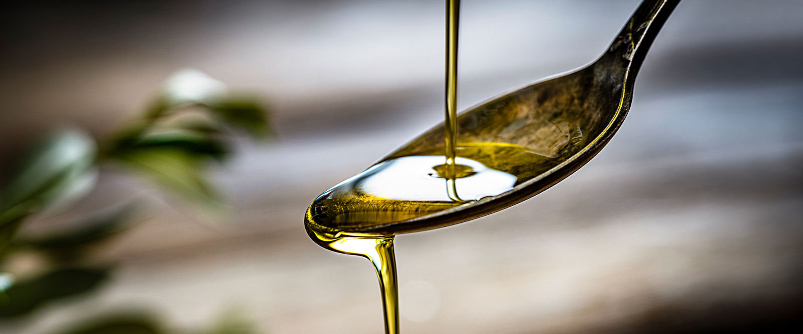 Nachhaltigkeit von pflanzlichen Ölen